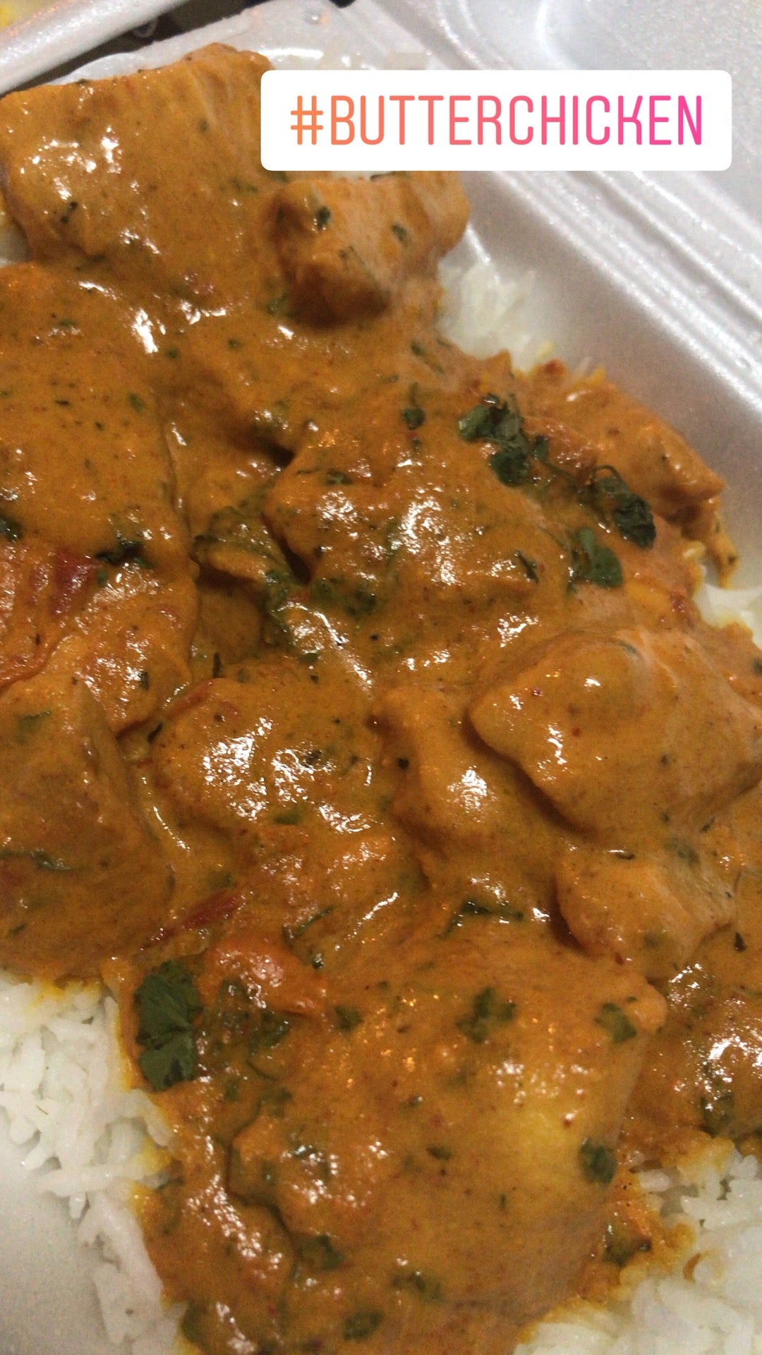 Florida Lakeland Taste of Curry photo 5