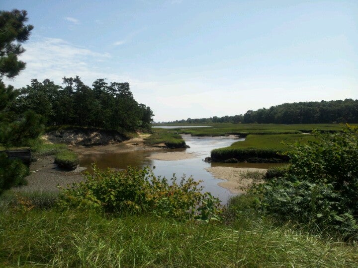 Maine Portland Buffleheads Restaurant photo 7