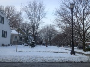 Illinois Des Plaines Bonsai Cafe photo 7