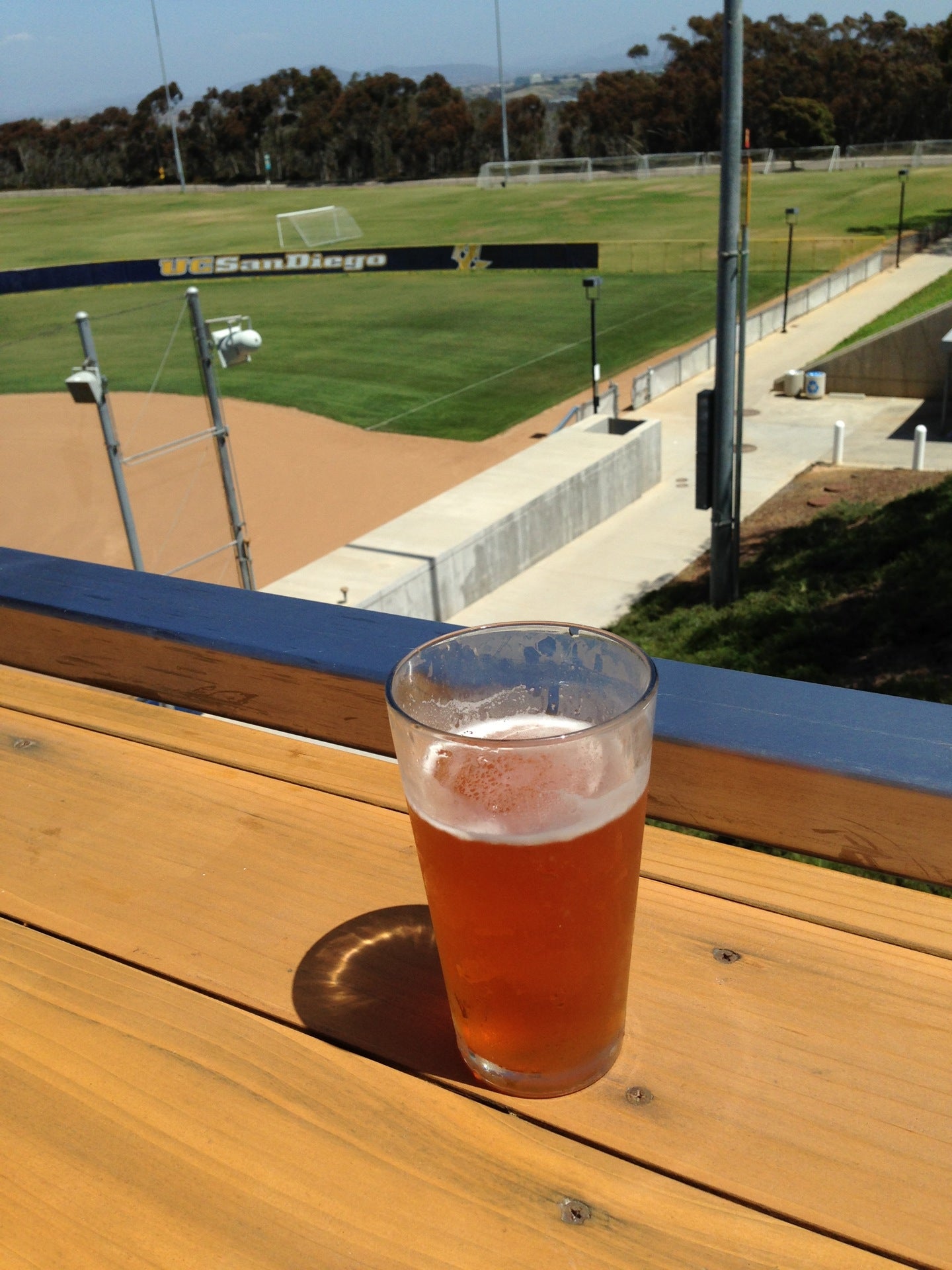 California San Diego Home Plate Ucsd photo 7