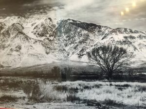 Nevada Tonopah Mountain Rambler Brewery photo 5