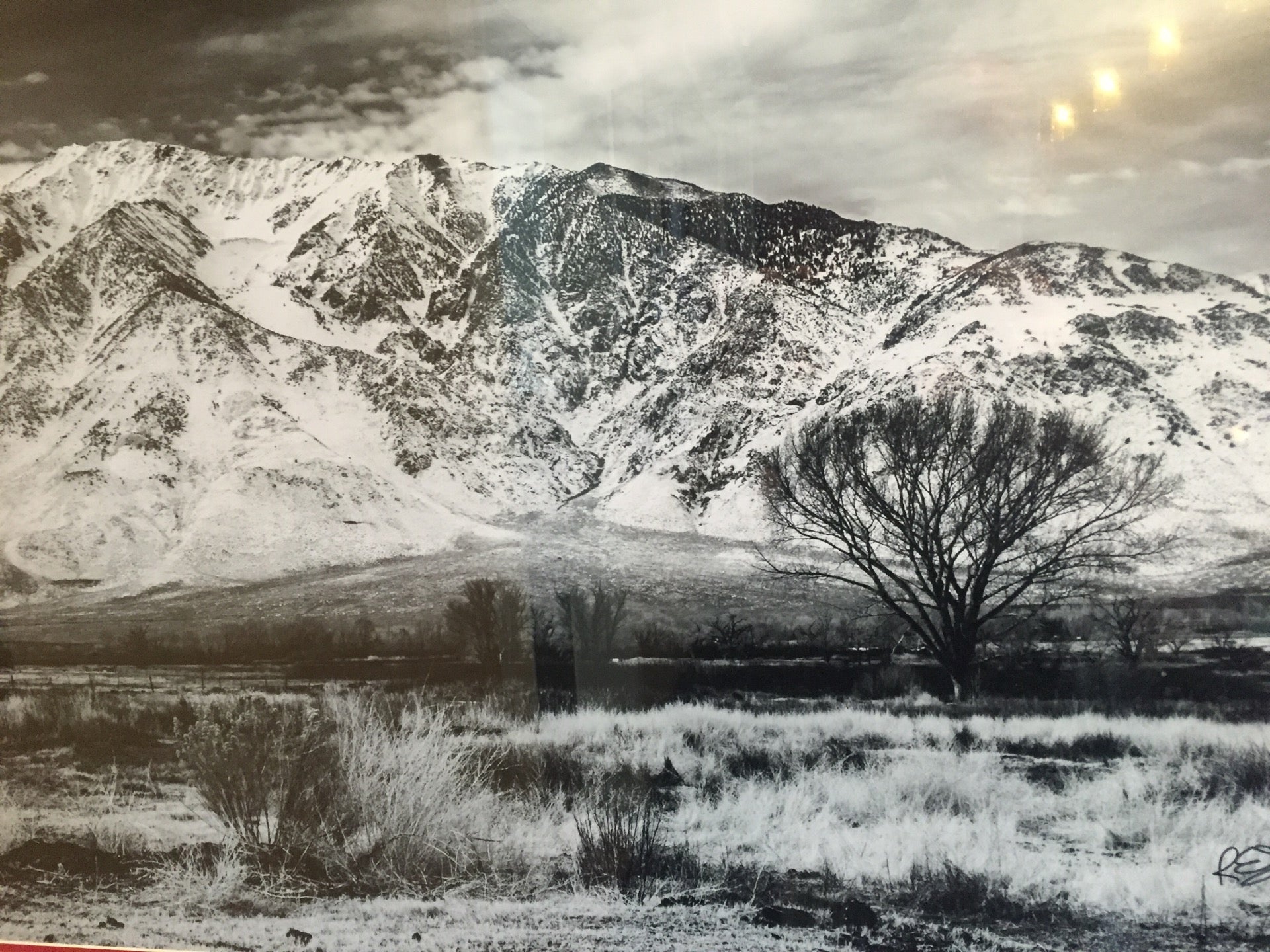 Nevada Tonopah Mountain Rambler Brewery photo 5