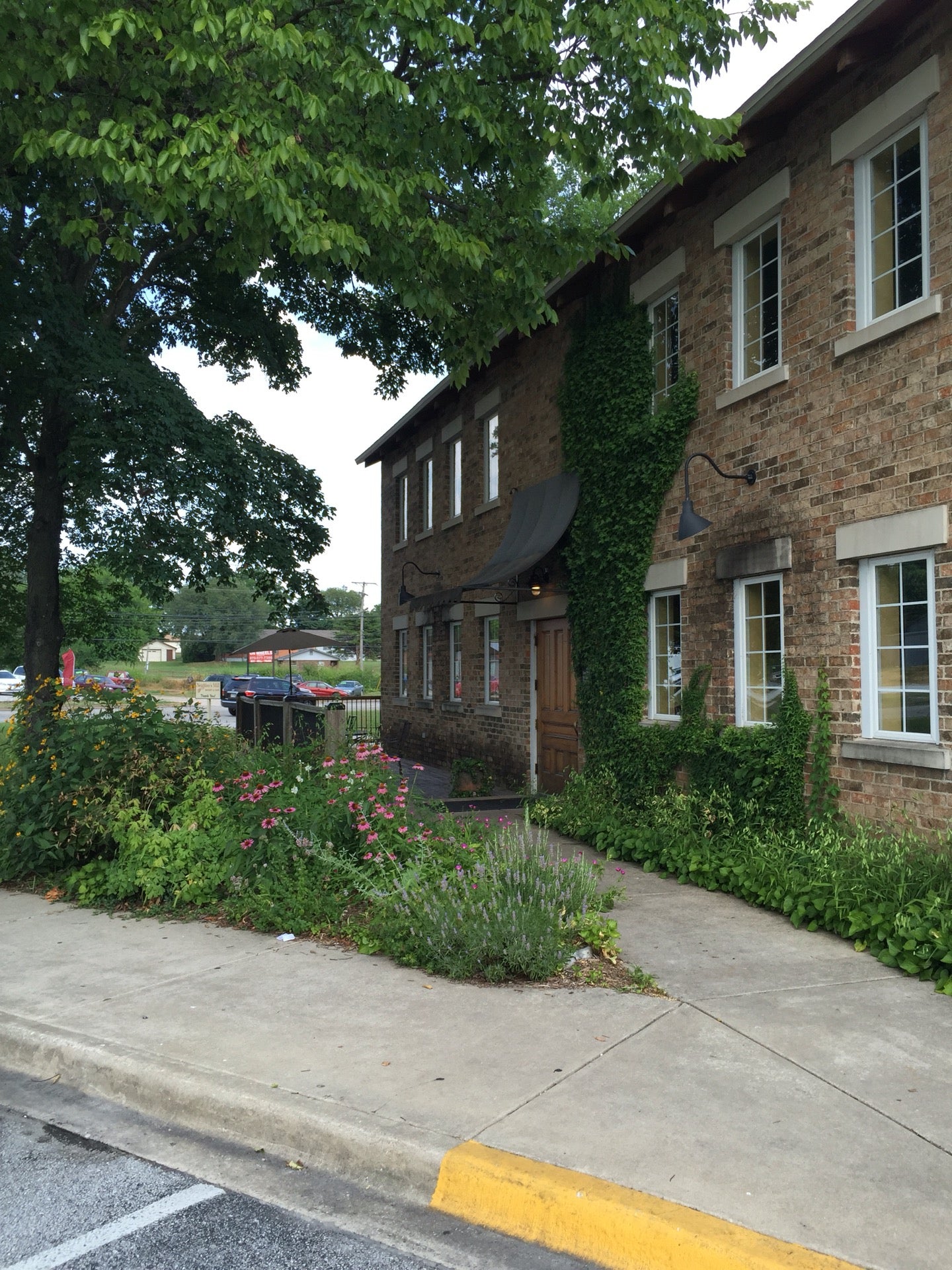 Arkansas Harrison Neighbor's Mill Bakery & Cafe photo 3