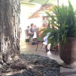 Arizona Scottsdale Arcadia Farms Cafe photo 1