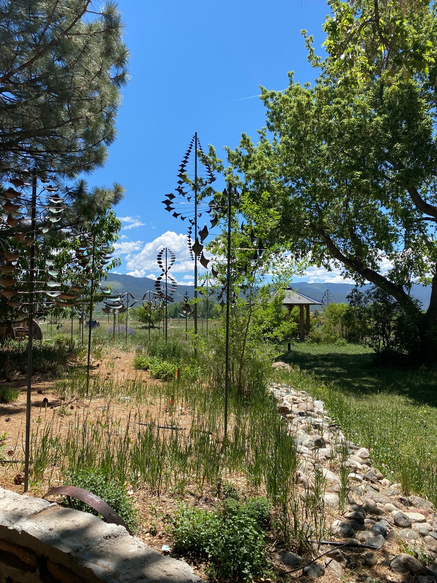 New Mexico Taos Farmhouse Cafe and Bakery photo 3