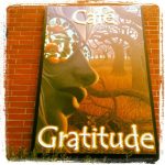 California Torrance Cafe Gratitude photo 1