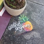 Florida Sarasota Island Organics LLC photo 1